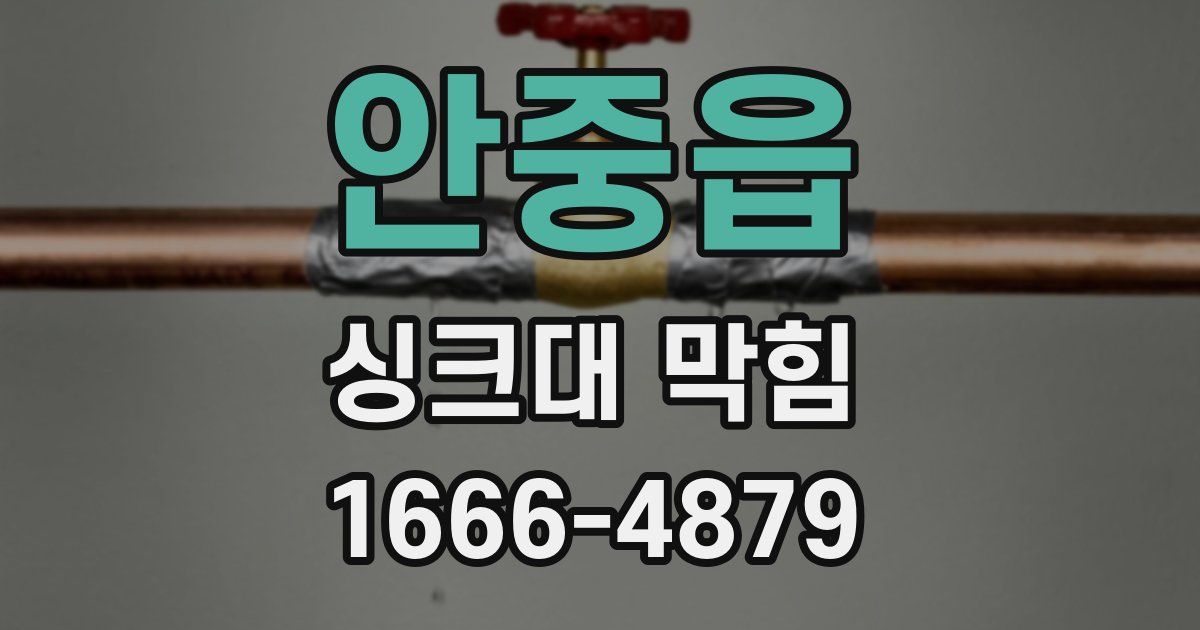 안중읍 싱크대 막힘