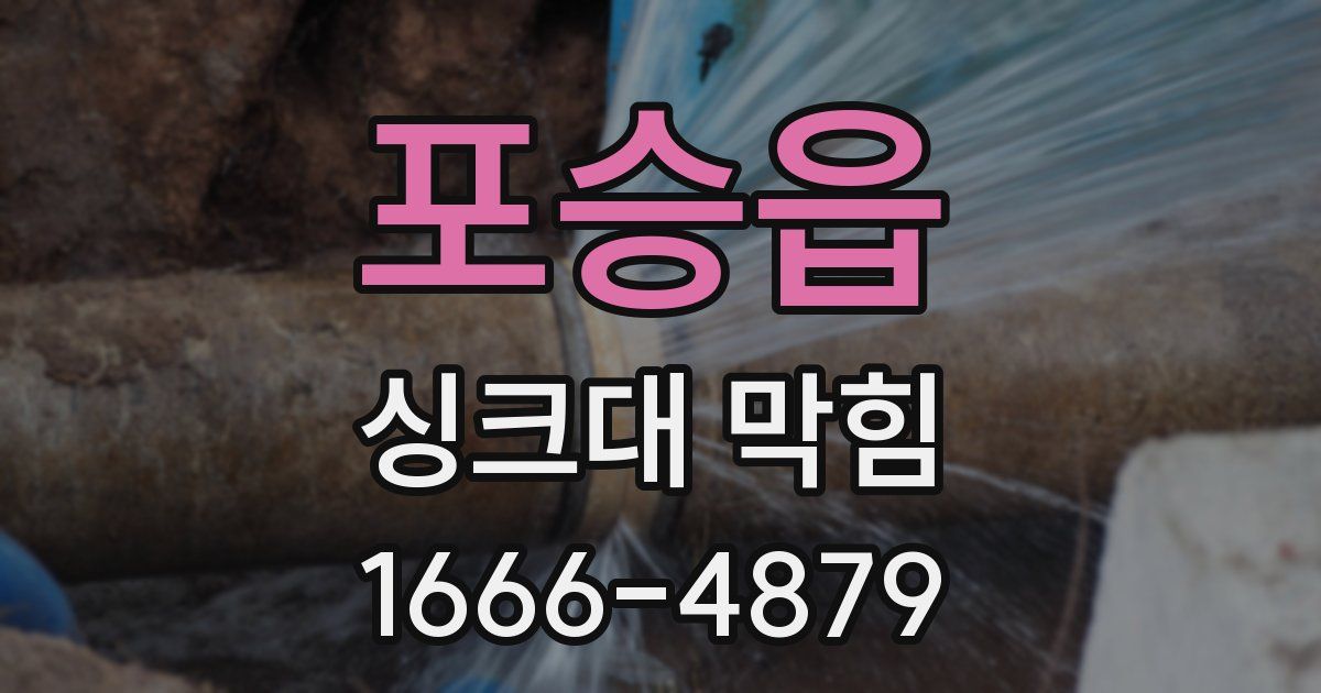 포승읍 싱크대 막힘
