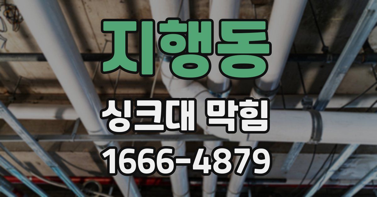 지행동 싱크대 막힘