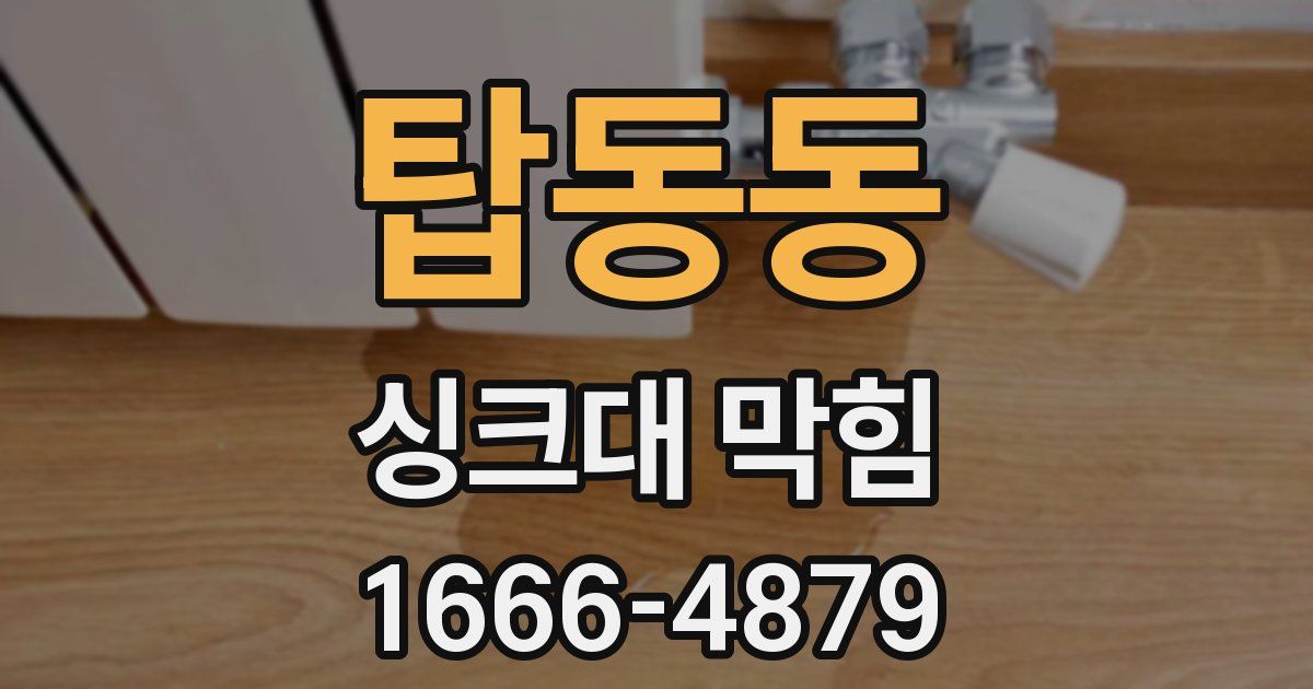 탑동동 싱크대 막힘