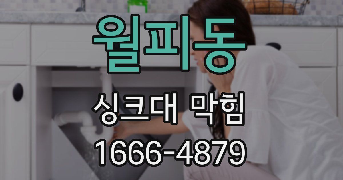 월피동 싱크대 막힘