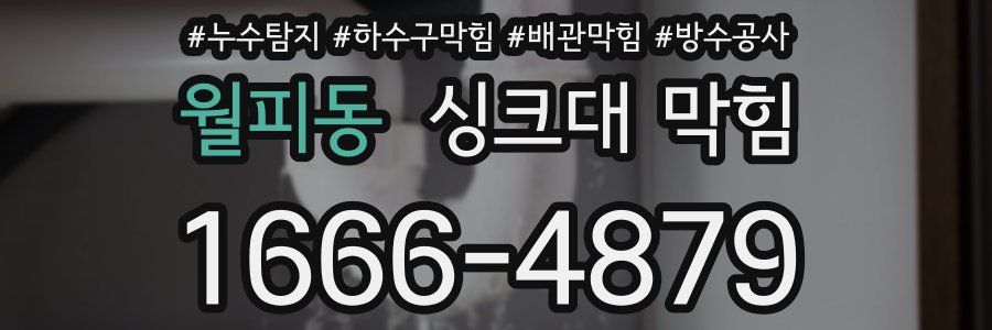 월피동 싱크대 막힘