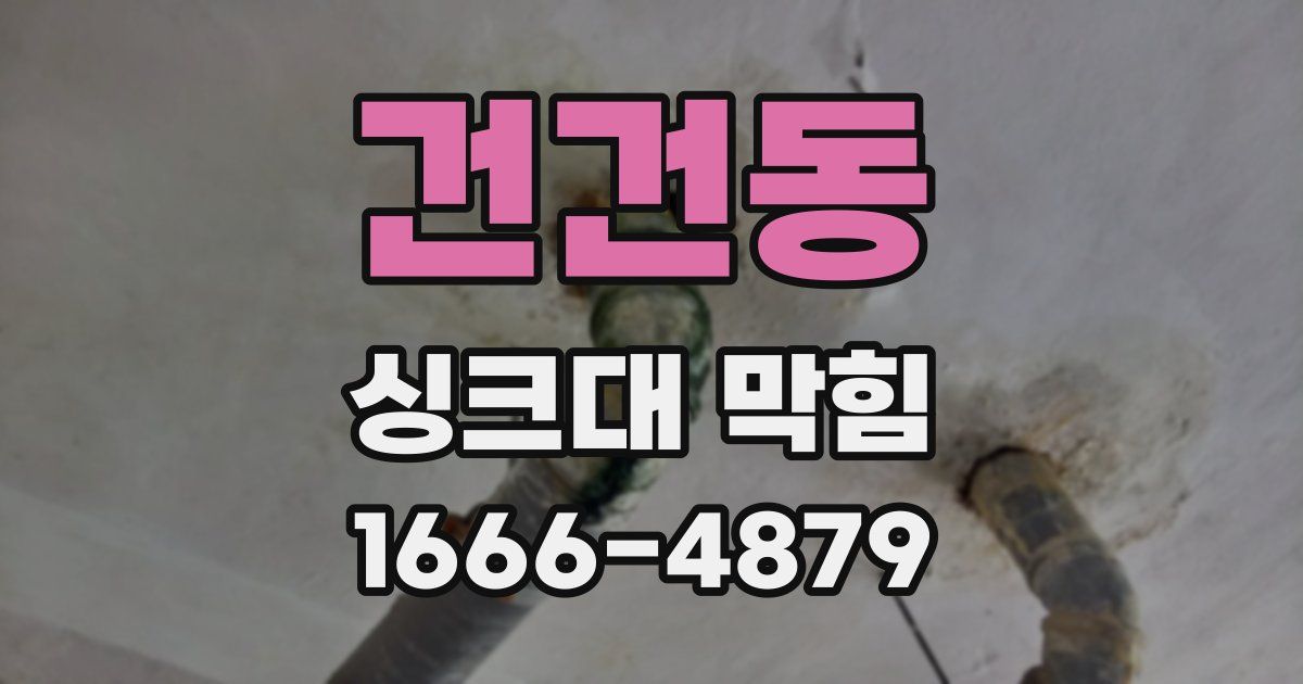 건건동 싱크대 막힘