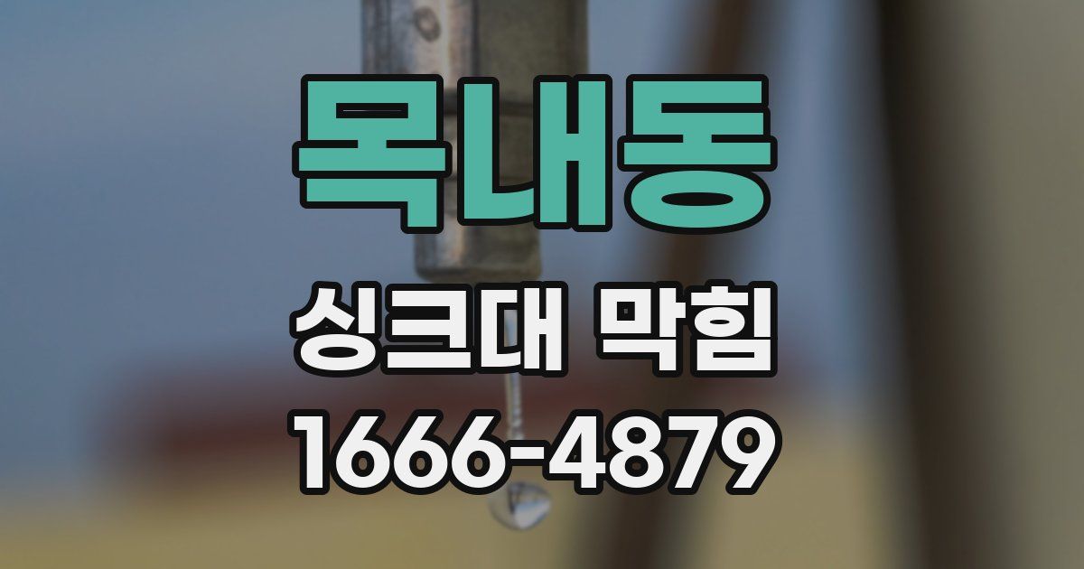 목내동 싱크대 막힘