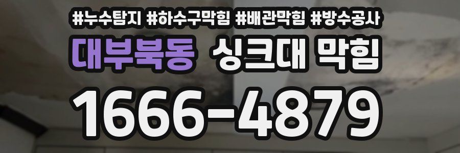 대부북동 싱크대 막힘