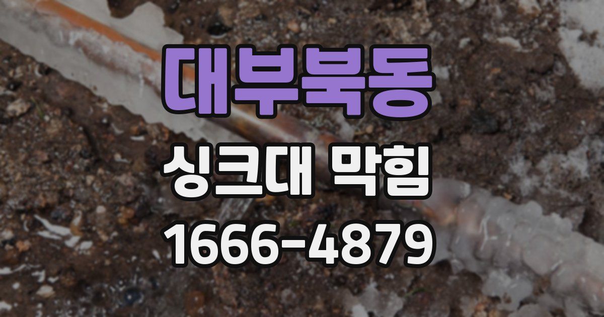 대부북동 싱크대 막힘