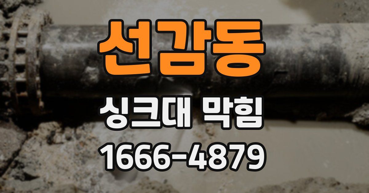 선감동 싱크대 막힘