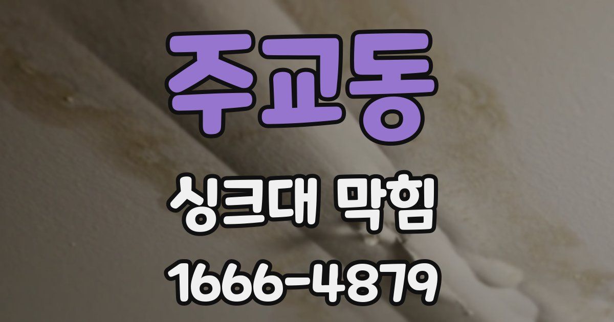 주교동 싱크대 막힘