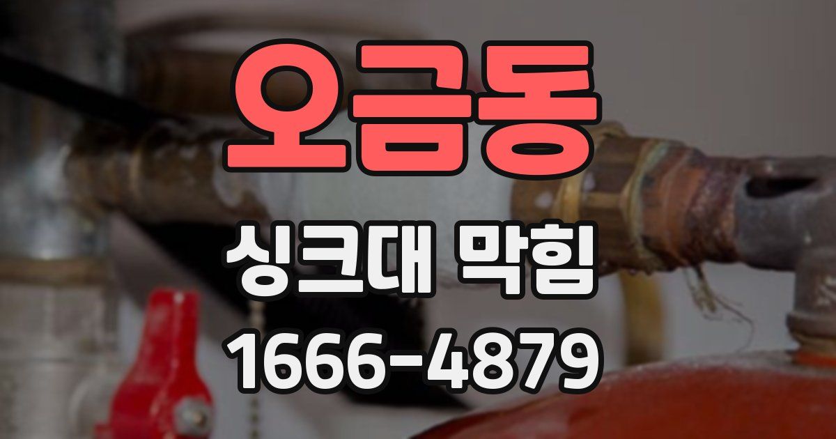 오금동 싱크대 막힘