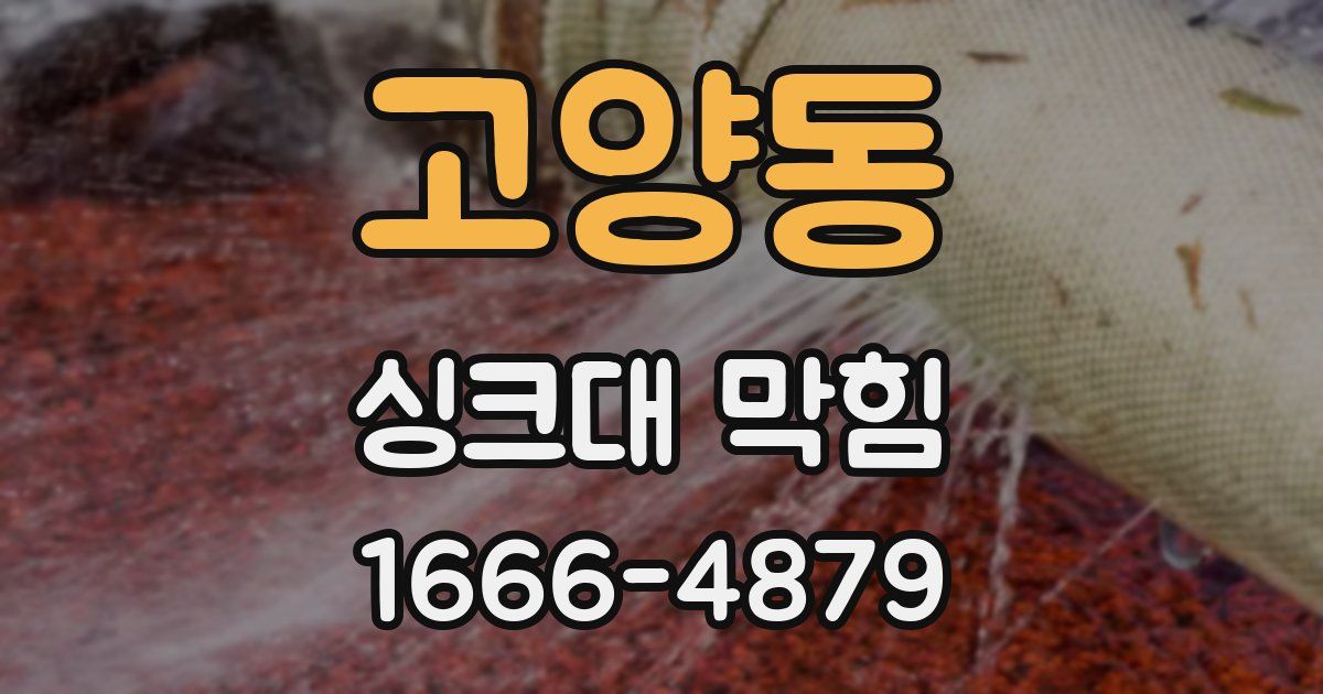 고양동 싱크대 막힘