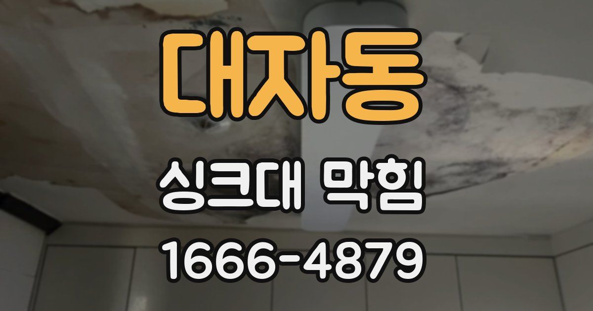 대자동 싱크대 막힘
