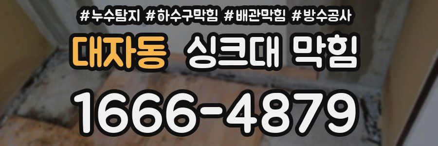 대자동 싱크대 막힘