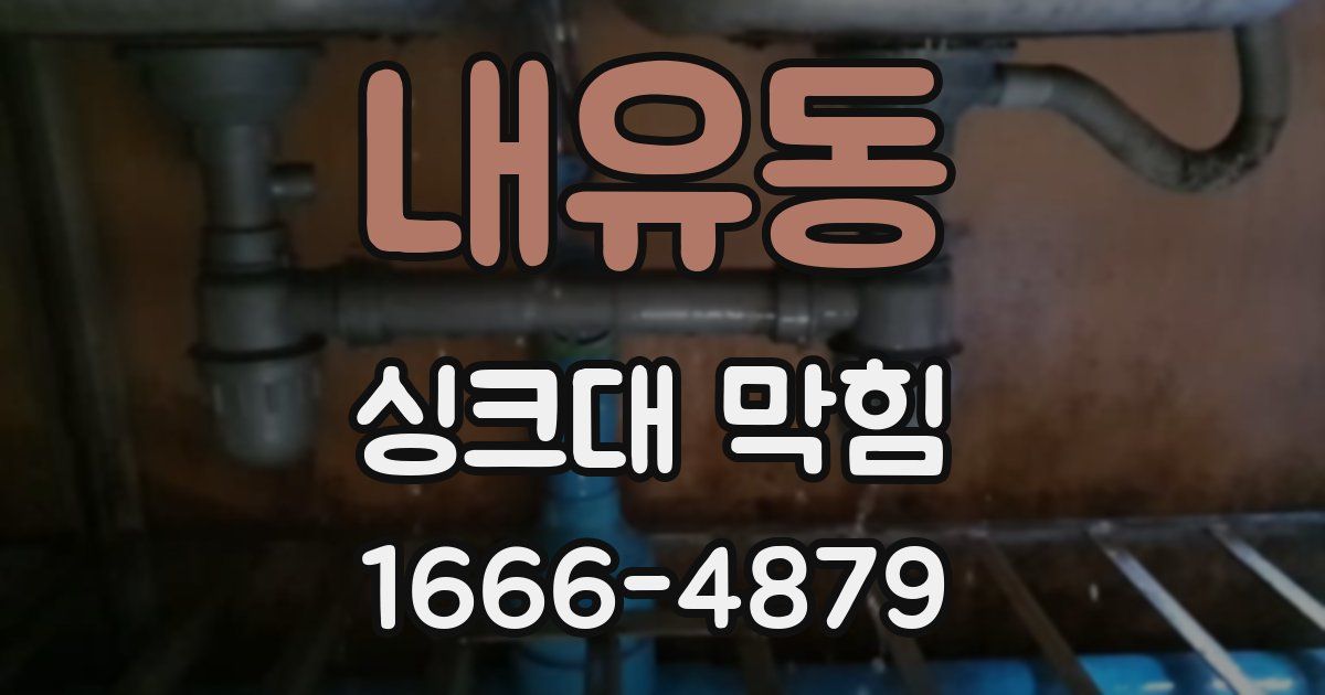내유동 싱크대 막힘