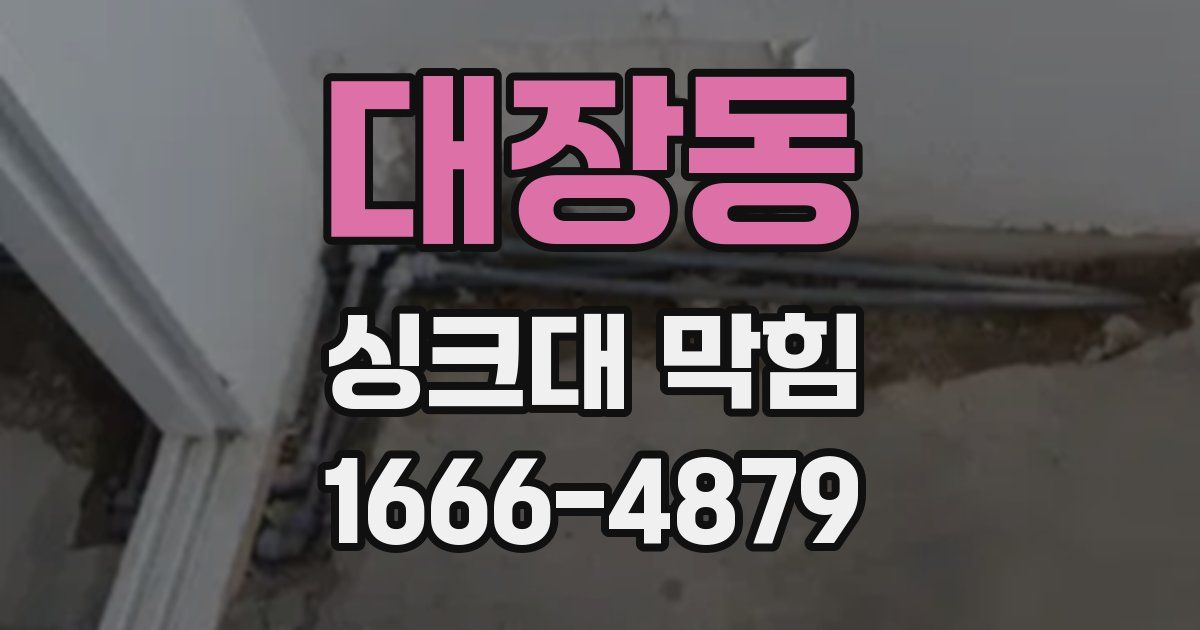 대장동 싱크대 막힘