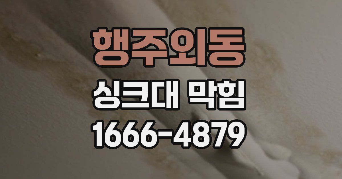 행주외동 싱크대 막힘
