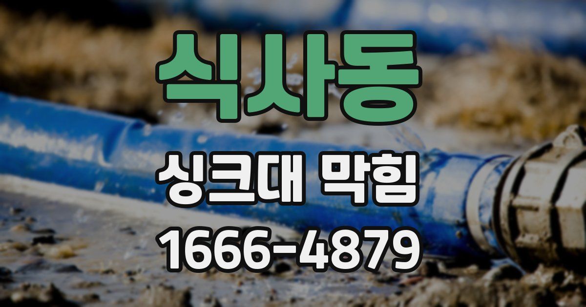 식사동 싱크대 막힘