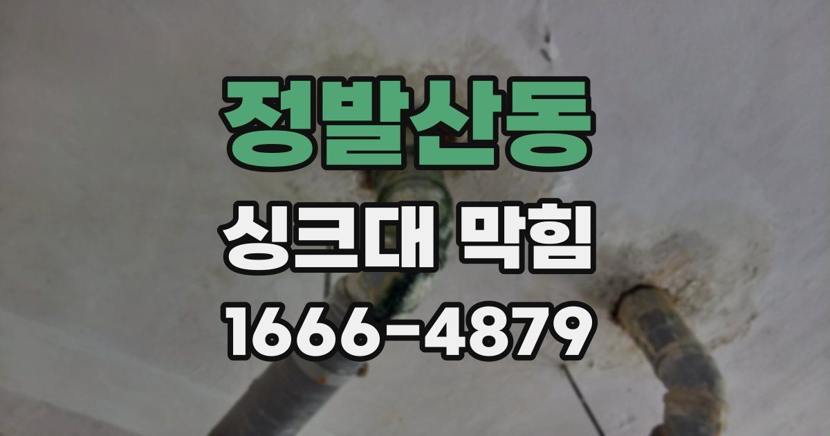 정발산동 싱크대 막힘