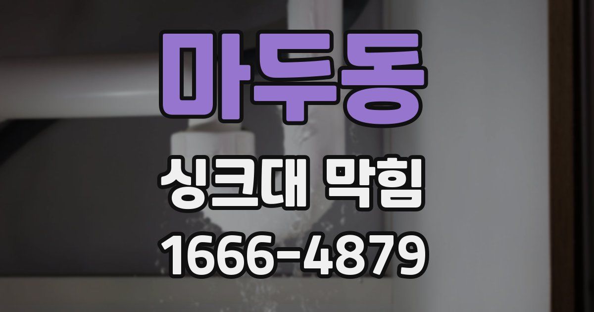마두동 싱크대 막힘