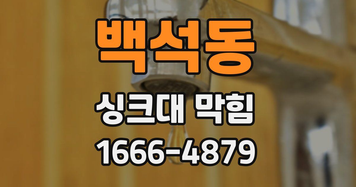 백석동 싱크대 막힘