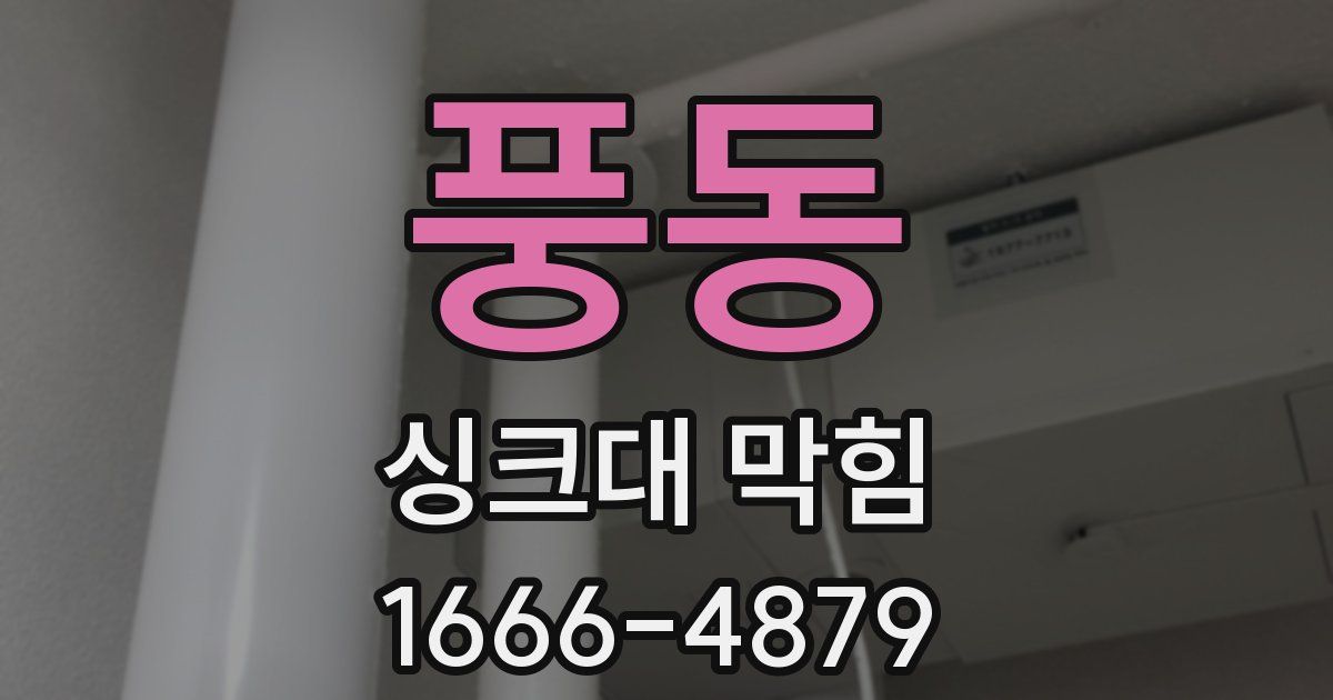 풍동 싱크대 막힘