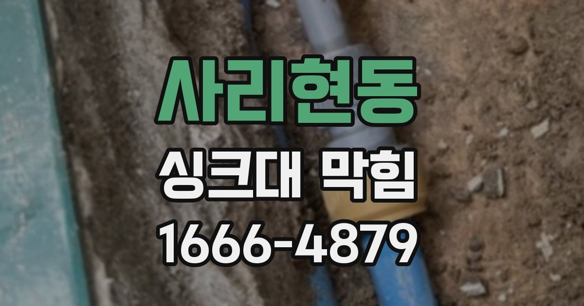 사리현동 싱크대 막힘