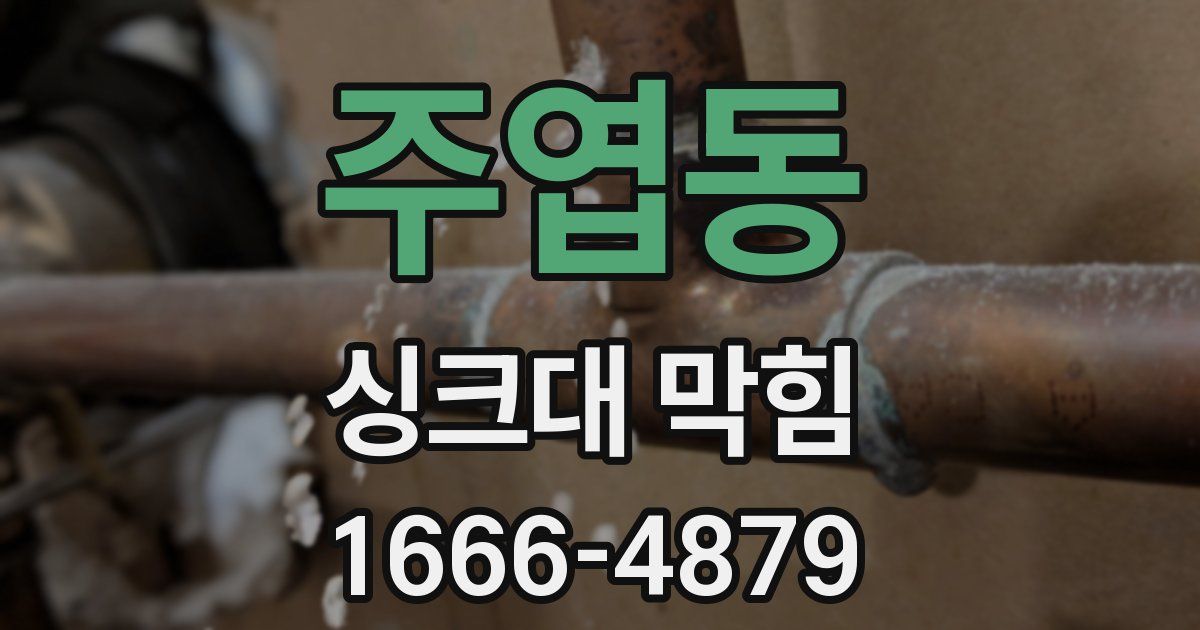 주엽동 싱크대 막힘