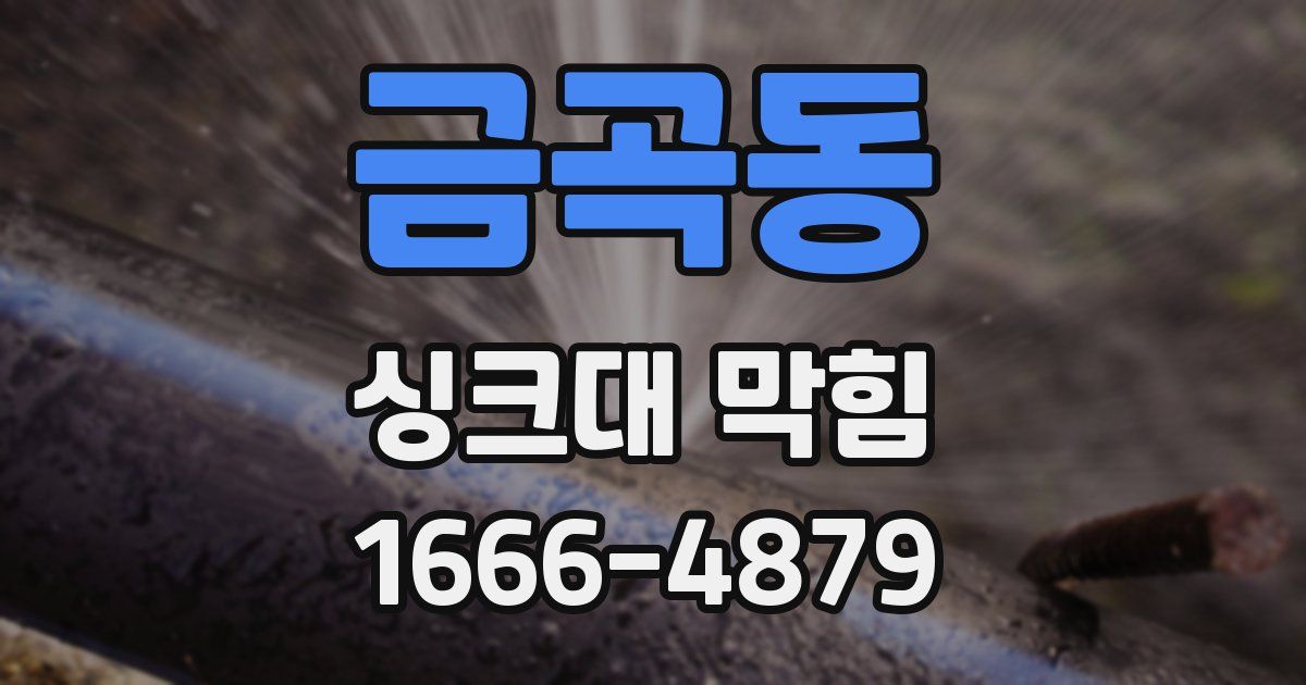 금곡동 싱크대 막힘
