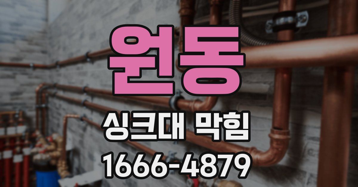 원동 싱크대 막힘