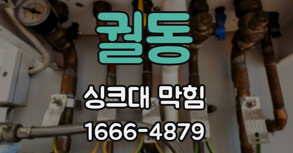 궐동 싱크대 막힘