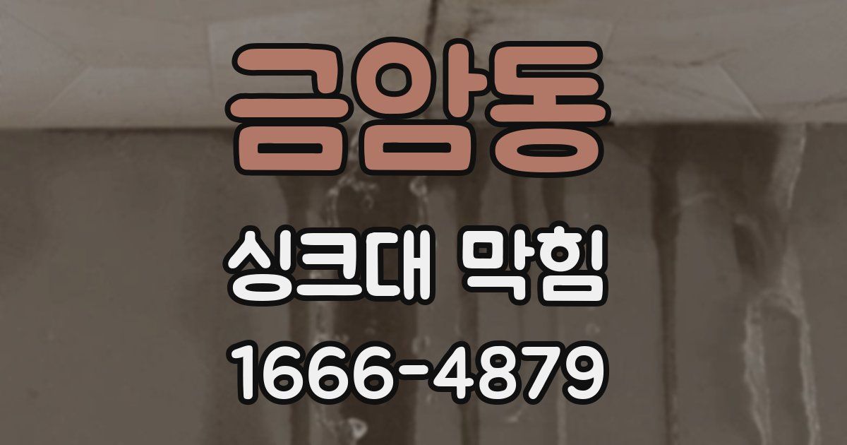 금암동 싱크대 막힘