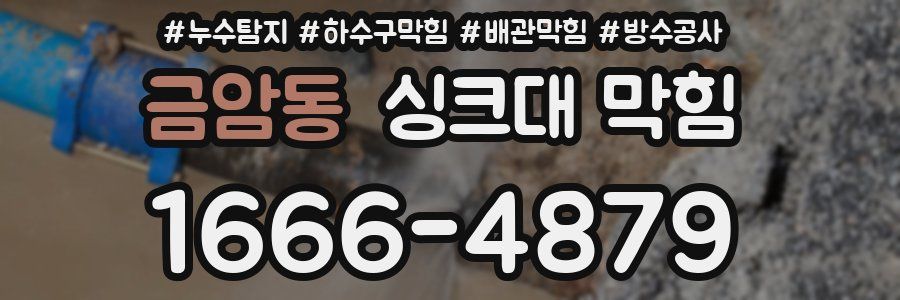 금암동 싱크대 막힘