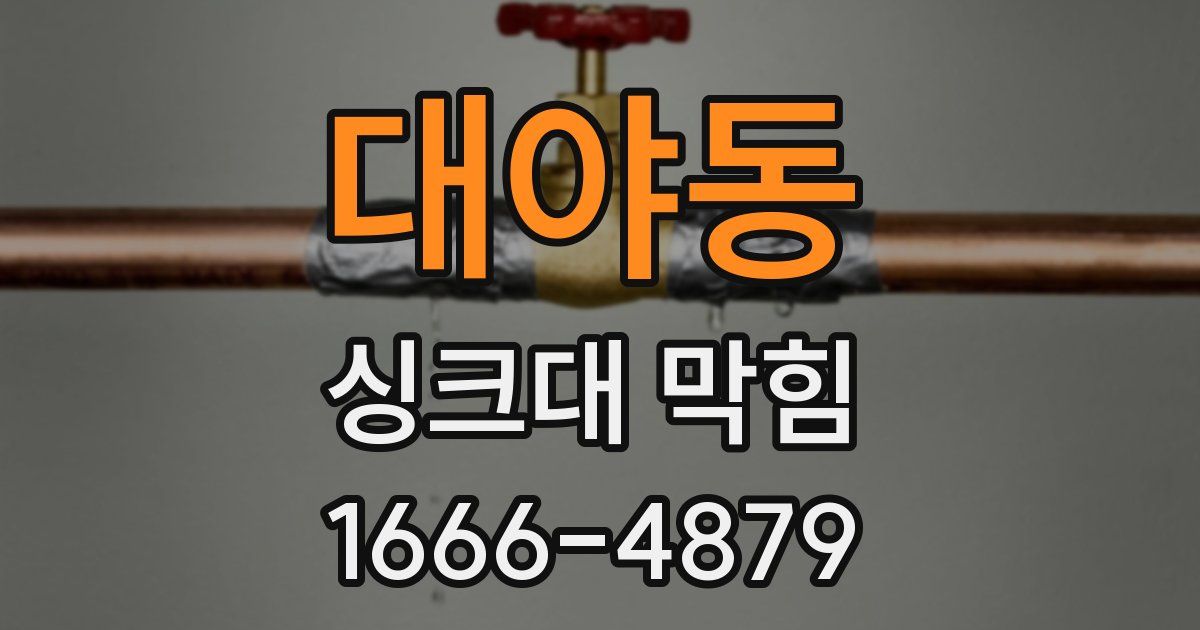 대야동 싱크대 막힘