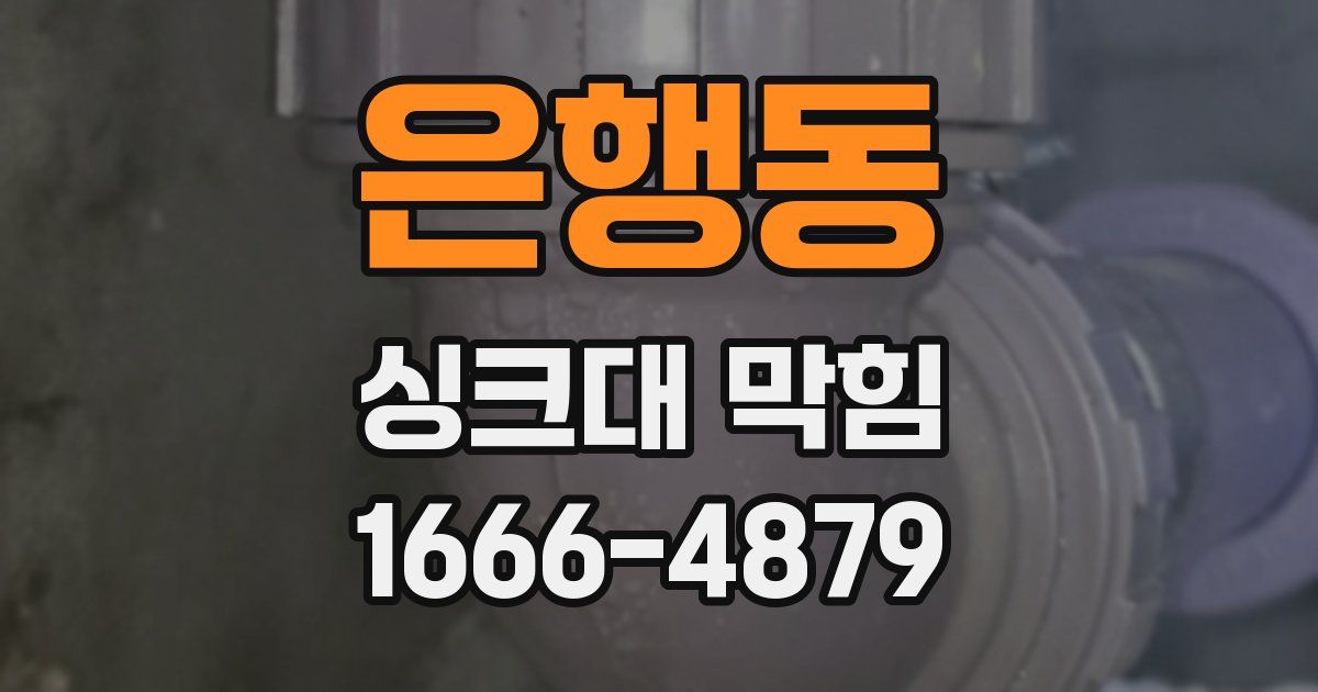 은행동 싱크대 막힘