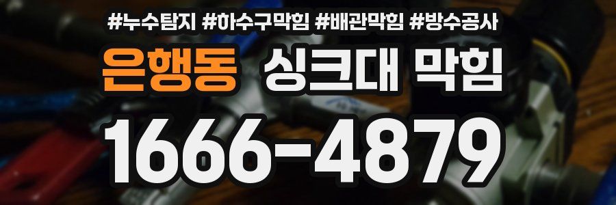 은행동 싱크대 막힘