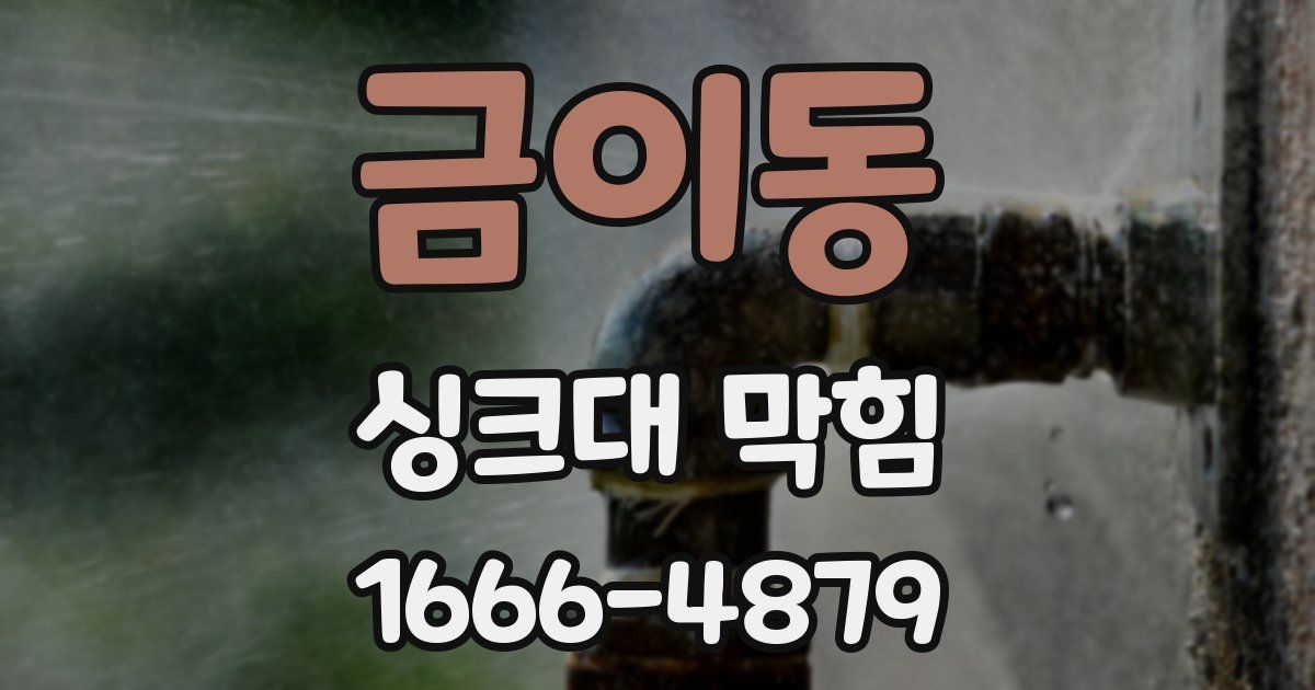 금이동 싱크대 막힘