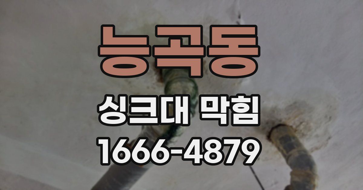 능곡동 싱크대 막힘