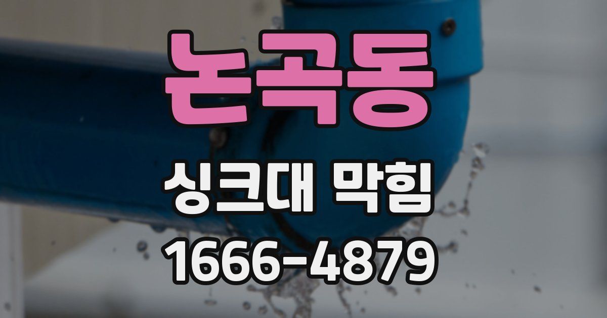 논곡동 싱크대 막힘