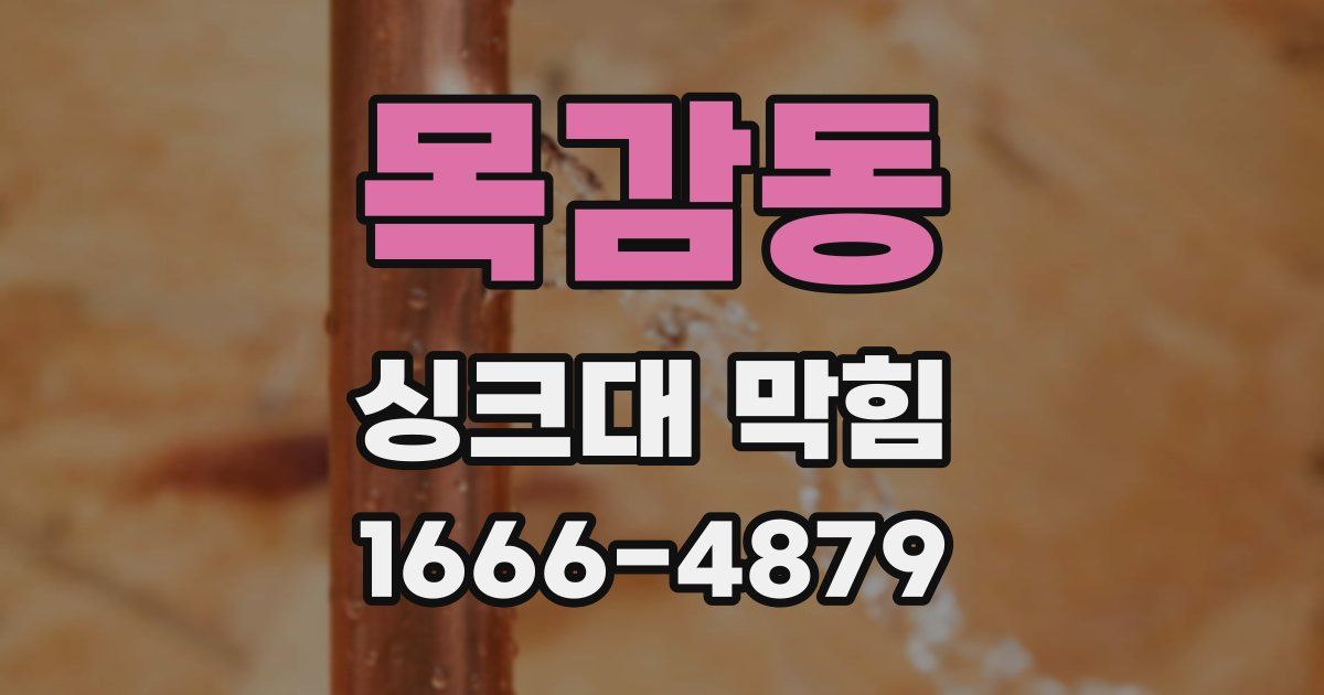 목감동 싱크대 막힘