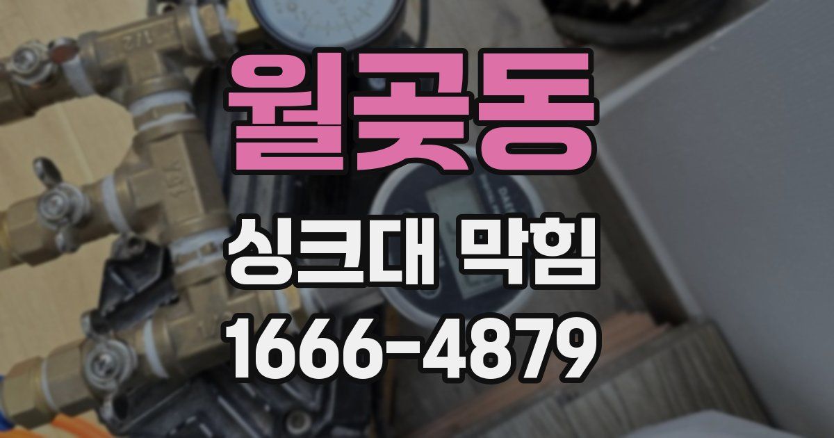 월곶동 싱크대 막힘