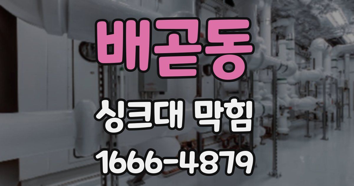 배곧동 싱크대 막힘
