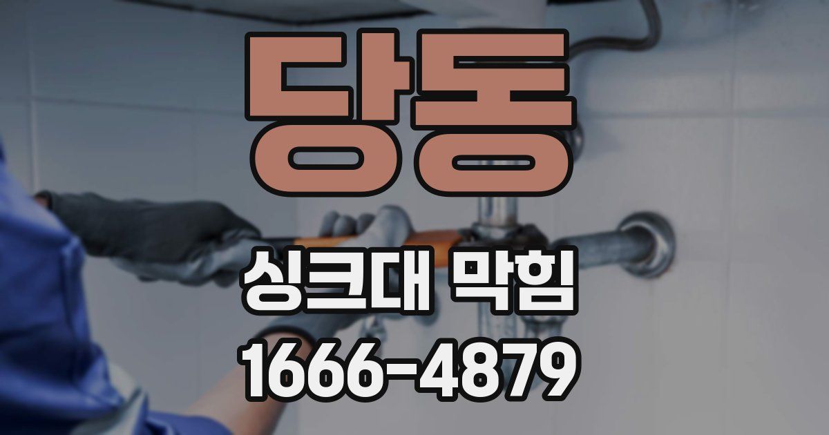 당동 싱크대 막힘