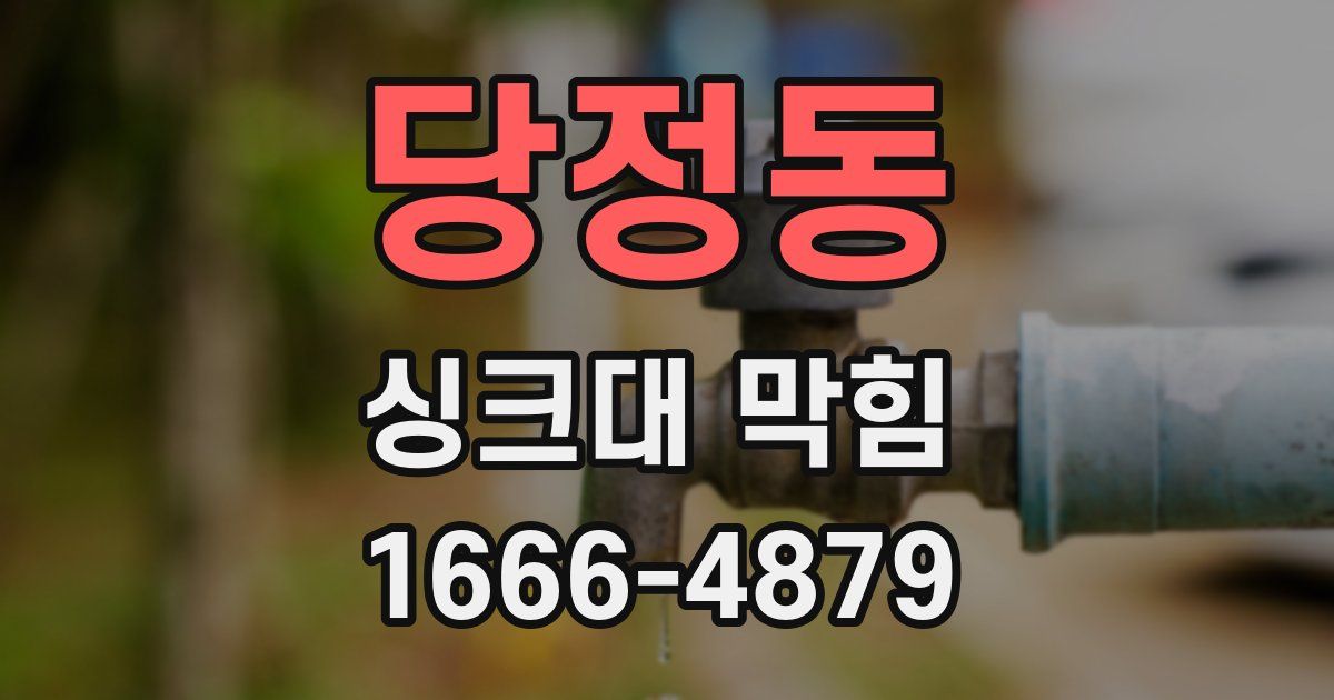 당정동 싱크대 막힘