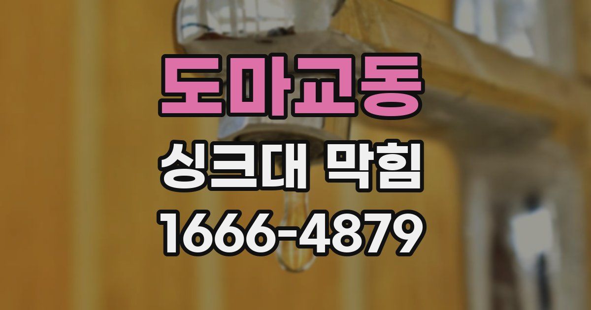 도마교동 싱크대 막힘