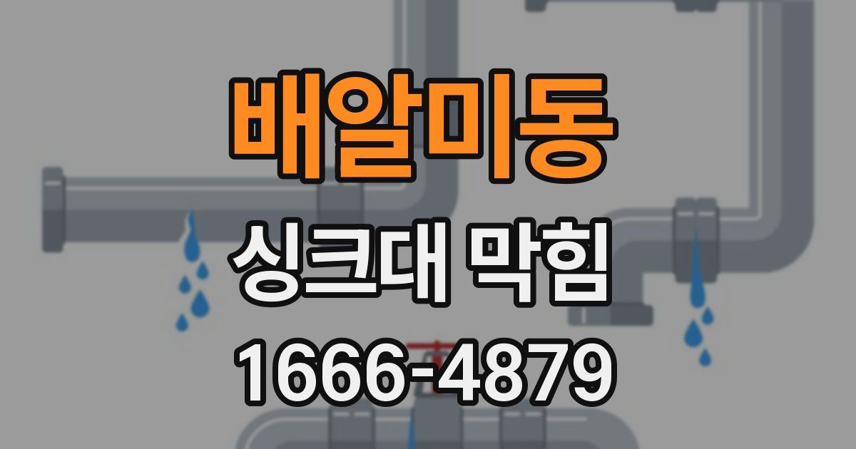 배알미동 싱크대 막힘