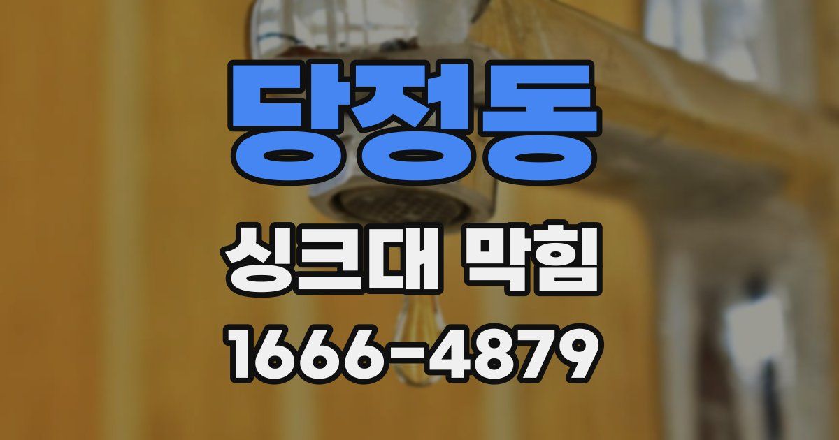 당정동 싱크대 막힘