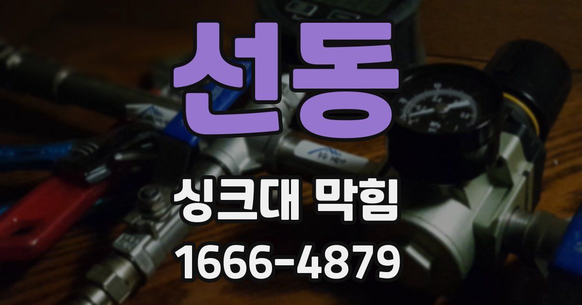 선동 싱크대 막힘