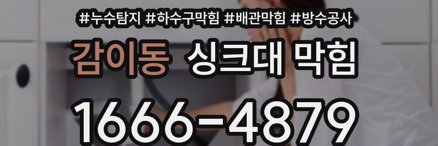 감이동 싱크대 막힘