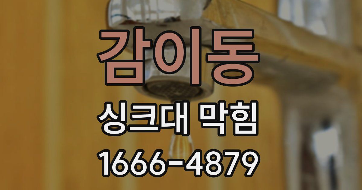 감이동 싱크대 막힘