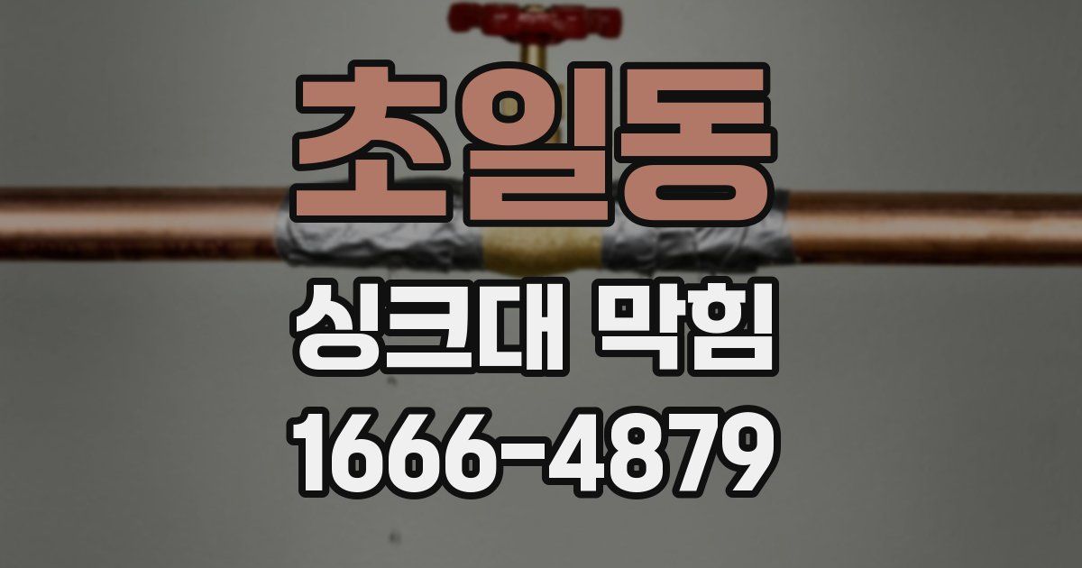 초일동 싱크대 막힘