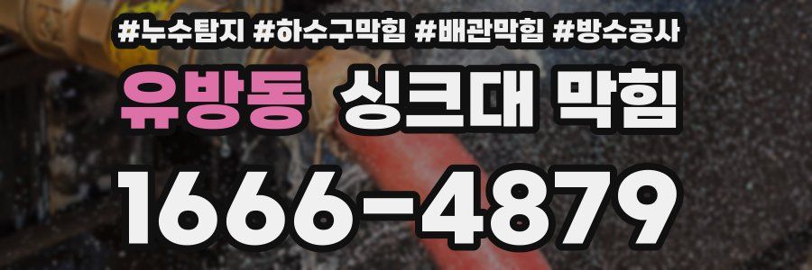 유방동 싱크대 막힘